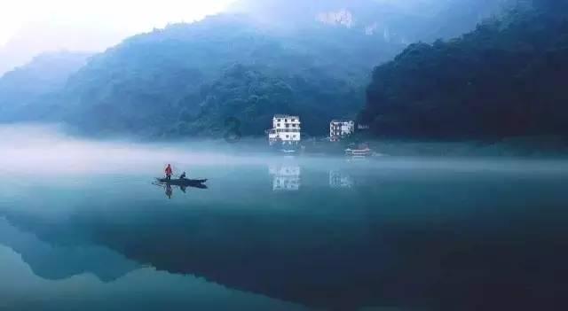 缤纷水果茶